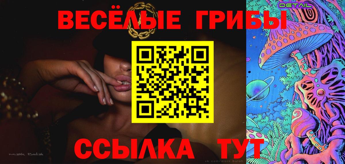 Псилоцибиновые грибы Psilocybine cubensis Донской